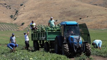 Γεωργία: αύξηση εσόδων για τους αγρότες