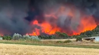 Φωτιά στην Αλεξανδρούπολη: oλονύχτια μάχη με τις φλόγες - Κάηκαν σπίτια και αυτοκίνητα σε Αετοχώρι και Πεύκα