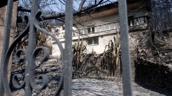 Φωτιές - Χρήστος Τριαντόπουλος: Πάνω από 850.000 ευρώ έλαβαν 167 δικαιούχοι πυρόπληκτοι Φωτιές - Χρήστος Τριαντόπουλος: Πάνω από 850.000 ευρώ έλαβαν 167 δικαιούχοι πυρόπληκτοι