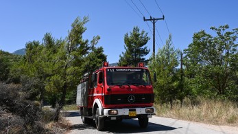 Υπό πλήρη έλεγχο τέθηκε η φωτιά στη Θέρμη Θεσσαλονίκης