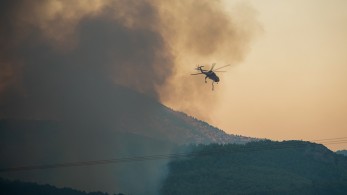 Φωτιά στην Εύβοια: προσαγωγή 17χρονου για εμπρησμό στα Ψαχνά Φωτιά στην Εύβοια: προσαγωγή 17χρονου για εμπρησμό στα Ψαχνά