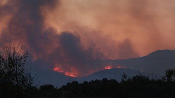 Φωτιά στον Έβρο: νεκρός άνδρας στη Λευκίμμη - Εκκένωση του Νοσοκομείου Αλεξανδρούπολης