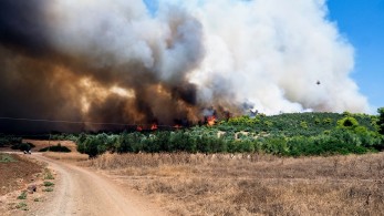 Φωτιά στην Εύβοια: προς Βατώντα το πύρινο μέτωπο - Μέχρι τη Χαλκίδα οι καπνοί