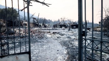 Ελεύθεροι, ωραίοι και ασύδοτοι