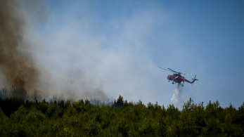 Μεγάλη φωτιά σε δασική έκταση στην Εύβοια - Μήνυμα από το 112 (video)