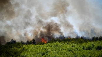 Καιρός: σε ετοιμότητα ο κρατικός μηχανισμός - Υψηλός ο κίνδυνος πυρκαγιάς, αναμένονται ισχυροί άνεμοι