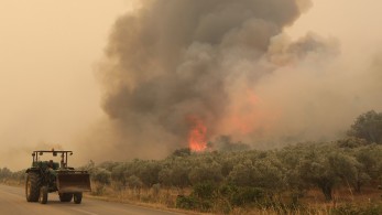 Τεράστιο το μέτωπο στον Έβρο: Μήνυμα του 112 για εκκένωση σε Λευκίμμη και Κασσιτερά Ροδόπης Τεράστιο το μέτωπο στον Έβρο: Μήνυμα του 112 για εκκένωση σε Λευκίμμη και Κασσιτερά Ροδόπης
