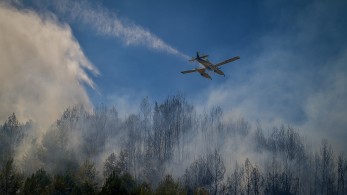 Ηλεία: Προσήχθη ύποπτος για απόπειρα εμπρησμού