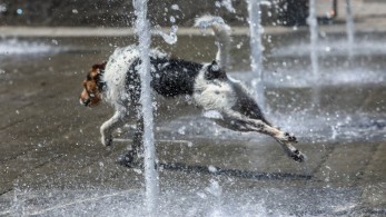 Καιρός: με 38άρια ξεκινά η νέα επέλαση ζέστης
