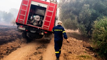 Πυροσβεστική: 60  πυρκαγιές το τελευταίο 24ωρο