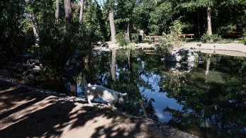 «Πρασινίζει» το Πεδίον του Άρεως