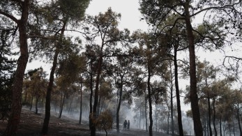 Θεσσαλονίκη: Παράταση της απαγόρευσης κυκλοφορίας στο Σέιχ Σου λόγω του υψηλού κινδύνου πυρκαγιάς