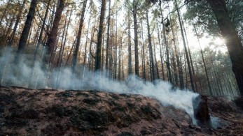 Η Μεσόγειος στο μάτι της πύρινης απειλής Η Μεσόγειος στο μάτι της πύρινης απειλής