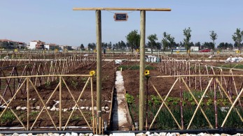 Γεωργία: βιολογικοί με μόνο στόχο τις επιδοτήσεις