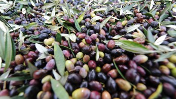 Καλπάζουν το λάδι και η αισχροκέρδεια μαζί!