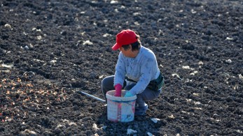 Επίδομα μητρότητας για αγρότισσες