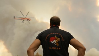 Φωτιές: συνεχίζουν τη μάχη οι πυροσβεστικές δυνάμεις στον Έβρο