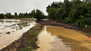 Ανυπολόγιστες οι καταστροφές στον θεσσαλικό κάμπο - Ποια φρούτα και λαχανικά παράγει