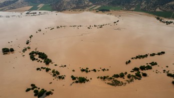 ΕΛΓΟ-ΔΗΜΗΤΡΑ: το σχέδιο για την αποκατάσταση των πλημμυρισμένων εκτάσεων
