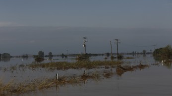 Πρωτογενής τομέας: ο Θεσσαλικός κάμπος εκπέμπει SOS