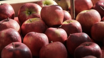 ΥΠΑΑΤ: ξεκάθαρη αισχροκέρδεια οι αυξήσεις τιμών στα οπωροκηπευτικά