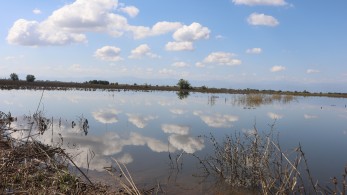 Θεσσαλία: ανυπολόγιστες καταστροφές στην αγροτική παραγωγή