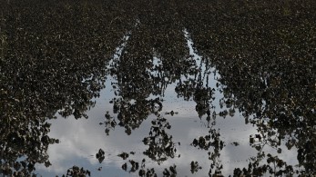 Αυτό είναι το χρονοδιάγραμμα για τις αποζημιώσεις στη Θεσσαλία