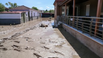 Βρήκαν την ευκαιρία οι φυλές της λάσπης