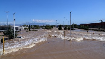 Ψάρια στα πεζοδρόμια στη Λάρισα, φίδι 2,5 μέτρων στον Παλαμά Καρδίτσας