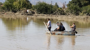 Θεσσαλία: Αγώνας δρόμου για να μαζευτούν τα νεκρά ζώα - Υποχωρούν τα νερά από το οδικό δίκτυο