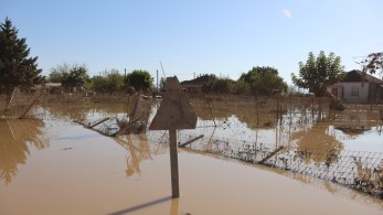 Η ανθρωπογενής κλιματική αλλαγή ήρθε για να μείνει, προειδοποιούν ειδικοί στη Γερμανία
