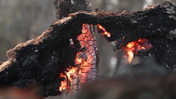 BBC: Οι φωτιές στην Ελλάδα ένα από τα έξι ακραία καιρικά φαινόμενα το καλοκαίρι του 2023