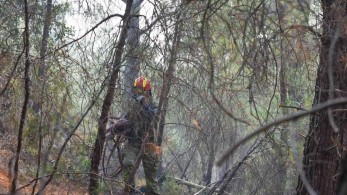 ΥΠΕΝ για Δαδιά: Κάηκε σχεδόν το 60% του δάσους