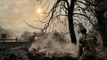 Συλλήψεις και πρόστιμα για πυρκαγιές σε Βοιωτία, Εύβοια, Αττική και Χαλκιδική