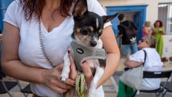 Η Αθήνα απέκτησε το πρώτο δημοτικό κτηνιατρείο (Φωτο)