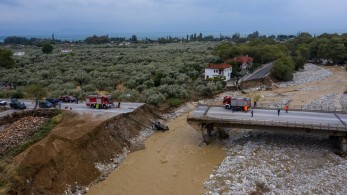 Φταίει το ζαβό το ριζικό μας! Φταίει το ζαβό το ριζικό μας!
