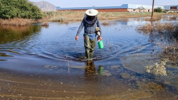 Πλημμύρες: προχωρούν οι πληρωμές πρώτης αρωγής στους πληγέντες - Πάνω από 3.000.000 σήμερα