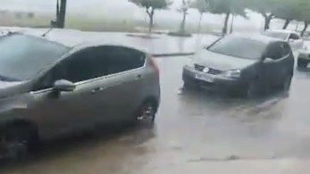 Προβλήματα από πτώση δέντρων στην Αθηνών-Κορίνθου