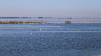 Σήμα κινδύνου από Μαγνησία και Λάρισα - Ανεβαίνει επικίνδυνα η στάθμη της Κάρλας