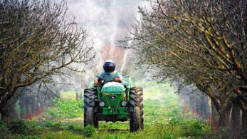 Χανιά: Με ηλεκτρονικά μέσα η παρακολούθηση του προγράμματος δακοκτονίας στην περιοχή
