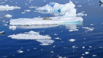 Το σημείο με τον πιο καθαρό αέρα στον πλανήτη