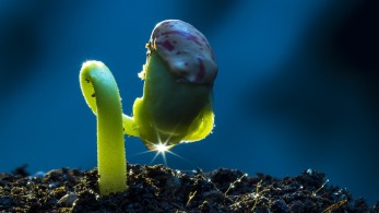 Παγκόσμια Ημέρα Περιβάλλοντος: Ο πλανήτης και η ψυχική υγεία σε κίνδυνο!