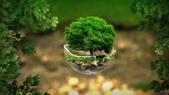 Μάχη ζωής για το περιβάλλον