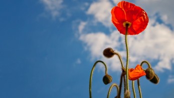 Καιρός: Καμίνι και σήμερα η χώρα