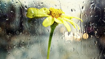 Καιρός: Συνεχίζεται η κακοκαιρία με βροχές, καταιγίδες και πτώση της θερμοκρασίας