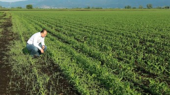 Λαζαρίδης: Ο πρωτογενής τομέας πρέπει να προσφέρει πάνω από το 20% του Α.Ε.Π