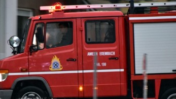 Πυρκαγιά σε δασική έκταση στα Μέγαρα