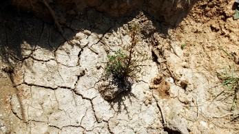 Το θερμότερο έτος στα χρονικά το 2023 - Πότε θα ξεπεραστεί το όριο της κλιματικής αλλαγής