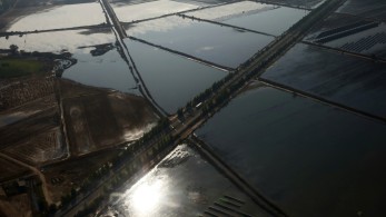 Από αύριο οι αποζημιώσεις στους πληγέντες αγροκτηνοτρόφους της Θεσσαλίας