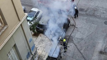 Κύριε Δούκα, μη βλέπετε το δέντρο και χάνετε τον άνθρωπο Κύριε Δούκα, μη βλέπετε το δέντρο και χάνετε τον άνθρωπο